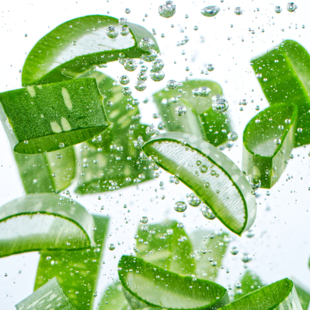Sliced green aloe vera leaves with bubbles on a white background