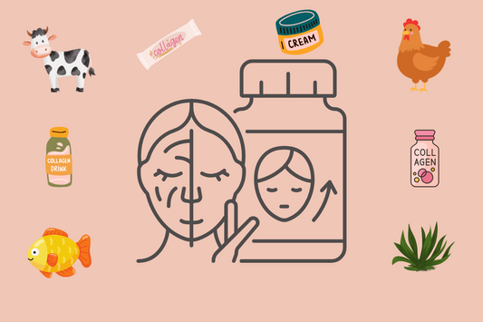 Navigating the Collagen Jungle: Your Guide to Choosing the Right One