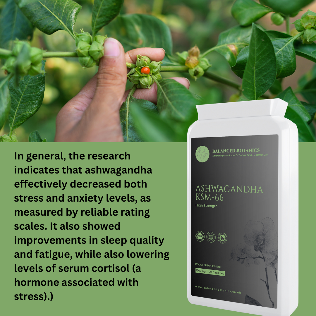 Ashwagandha Benefits