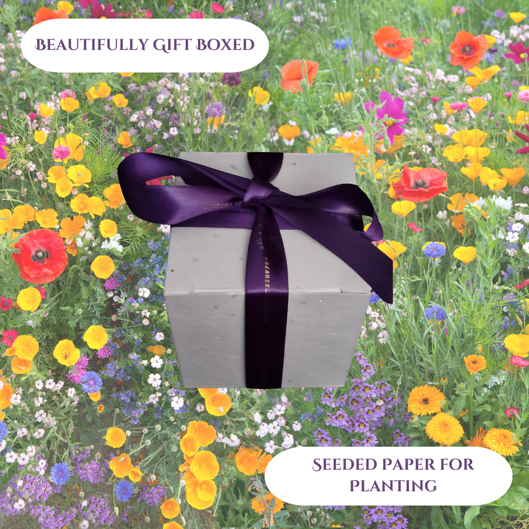 Beautifully_Gift_Boxed_2